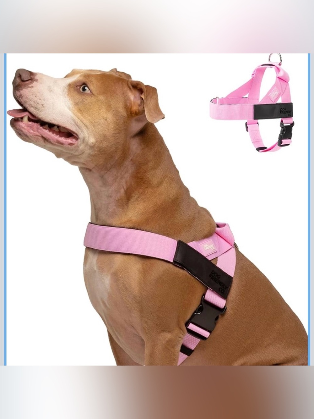 Dog Friendly Co. Dog Harness for Medium Sized Dogs (Pink, Medium)